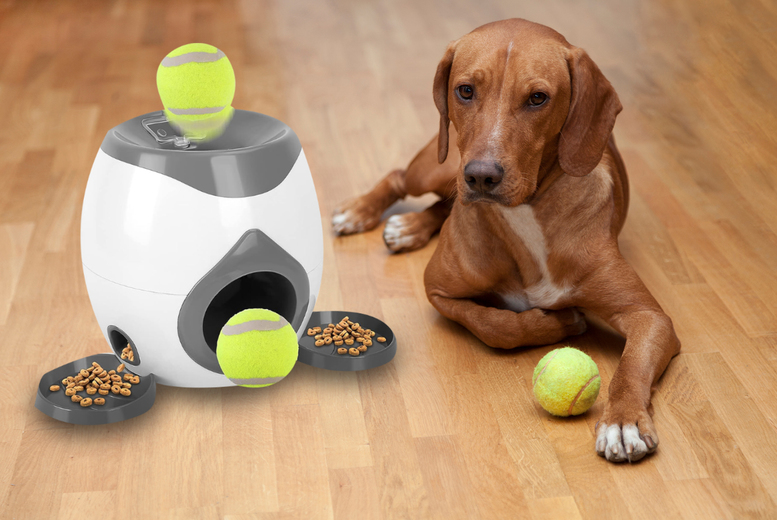 Automatic Pet Ball Dispenser – 3 Colours!